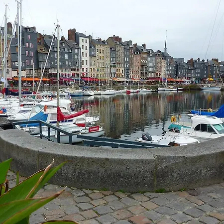 Avec Terrasse *